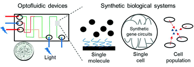Graphical abstract: Frontiers of optofluidics in synthetic biology