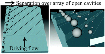 Graphical abstract: Vector separation of particles and cells using an array of slanted open cavities
