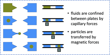 Graphical abstract: Magneto-capillary valve for integrated purification and enrichment of nucleic acids and proteins