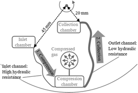 Graphical abstract: Centrifugo-dynamic inward pumping of liquids on a centrifugal microfluidic platform