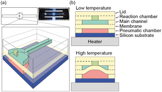 Graphical abstract: Temperature-driven self-actuated microchamber sealing system for highly integrated microfluidic devices