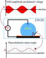 Graphical abstract: Inherent amplitude demodulation of an AC-EWOD (electrowetting on dielectric) droplet