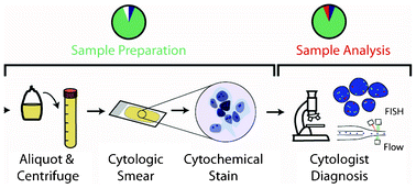 Graphical abstract: Microfluidic sample preparation for diagnostic cytopathology