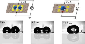Graphical abstract: Fast, active droplet interaction: coalescence and reactive mixing controlled by electrowetting on a superhydrophobic surface