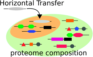 Graphical abstract: Horizontal gene transfers as metagenomic gene duplications