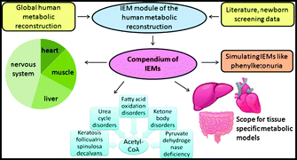 Graphical abstract: A compendium of inborn errors of metabolism mapped onto the human metabolic network