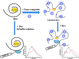 Graphical abstract: Role of block copolymer-micelle nanocomposites in dye–bovine serum albumin binding: a combined experimental and molecular docking study