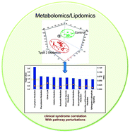 Graphical abstract: Quantitative metabolomic and lipidomic profiling reveals aberrant amino acid metabolism in type 2 diabetes