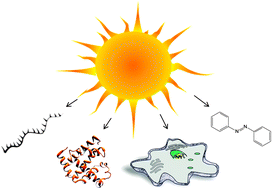 Graphical abstract: The power of light: photosensitive tools for chemical biology