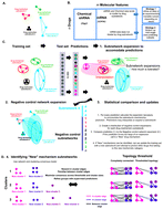 Graphical abstract: Predicting cancer drug mechanisms of action using molecular network signatures