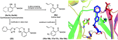 Graphical abstract: Synthesis and bioevaluation of aryl hydroxamates distinguishing between NAD+ and ATP-dependent DNA ligases