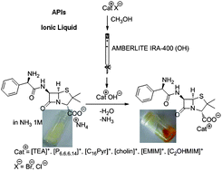 Graphical abstract: Development of novel ionic liquids based on ampicillin