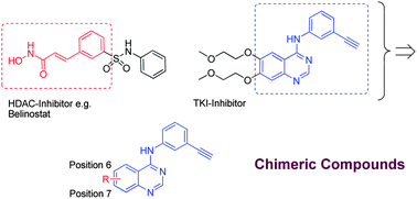 Graphical abstract: Chimerically designed HDAC- and tyrosine kinase inhibitors. A series of erlotinib hybrids as dual-selective inhibitors of EGFR, HER2 and histone deacetylases