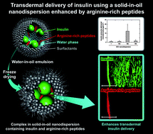 Graphical abstract: Transdermal delivery of insulin using a solid-in-oil nanodispersion enhanced by arginine-rich peptides