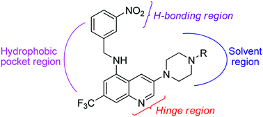 Graphical abstract: Further SAR studies on 3,5-diamino-7-trifluoromethylquinolines as highly potent tyrosine kinase c-Met inhibitors: efforts to correct hERG inhibition