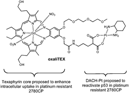 Graphical abstract: A texaphyrin–oxaliplatin conjugate that overcomes both pharmacologic and molecular mechanisms of cisplatin resistance in cancer cells