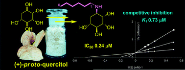 Graphical abstract: Synthesis of new N-substituted aminoquercitols from naturally available (+)-proto-quercitol and their α-glucosidase inhibitory activity