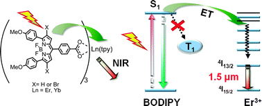 Graphical abstract: Ln(iii)-cored complexes based on boron dipyrromethene (Bodipy) ligands for NIR emission
