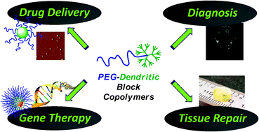 Graphical abstract: PEG-dendritic block copolymers for biomedical applications