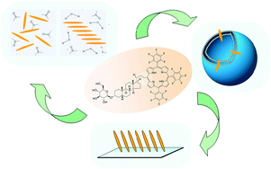 Graphical abstract: Glucosylated steroid-porphyrins as new tools for nanotechnology applications