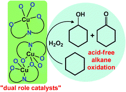 Graphical abstract: Copper(ii) complexes with a new carboxylic-functionalized arylhydrazone of β-diketone as effective catalysts for acid-free oxidations