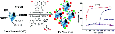 Graphical abstract: Experimental and theoretical evaluation of nanodiamonds as pH triggered drug carriers