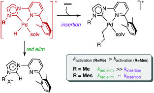 Graphical abstract: Synthesis of a sterically modulated pyridine–NHC palladium complex and its reactivity towards ethylene
