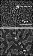 Graphical abstract: Design of super-hydrophobic microporous polytetrafluoroethylene membranes