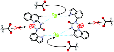 Graphical abstract: Non-symmetric substituted ureas locked in an (E,Z) conformation: an unusual anion binding via supramolecular assembly