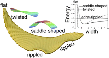 Graphical abstract: Saddles, twists, and curls: shape transitions in freestanding nanoribbons