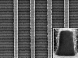 Graphical abstract: Large-scale parallel arrays of silicon nanowires via block copolymer directed self-assembly