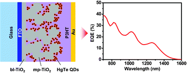 Graphical abstract: Efficient HgTe colloidal quantum dot-sensitized near-infrared photovoltaic cells