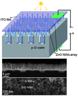 Graphical abstract: n-ZnO/p-Si 3D heterojunction solar cells in Si holey arrays
