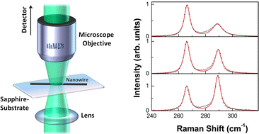 Graphical abstract: Mobility and carrier density in p-type GaAs nanowires measured by transmission Raman spectroscopy