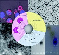 Graphical abstract: Polymer coated inorganic nanoparticles: tailoring the nanocrystal surface for designing nanoprobes with biological implications