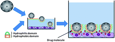 Graphical abstract: Cellular interactions of surface modified nanoporous silicon particles