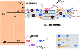 Graphical abstract: Unique photocatalytic oxidation reactivity and selectivity of TiO2–graphene nanocomposites