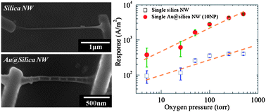 Graphical abstract: Gold nanoparticle-modulated conductivity in gold peapodded silica nanowires