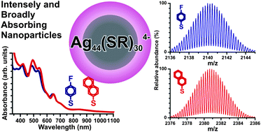Graphical abstract: Ag44(SR)304−: a silver–thiolate superatom complex