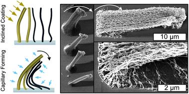 Graphical abstract: Capillary bending of Janus carbon nanotube micropillars