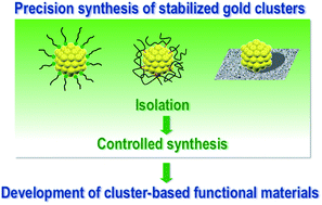 Graphical abstract: Stabilized gold clusters: from isolation toward controlled synthesis