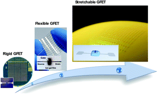 Graphical abstract: Graphene-based flexible and stretchable thin film transistors