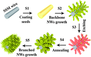 Graphical abstract: Controllable growth of dendritic ZnO nanowire arrays on a stainless steel mesh towards the fabrication of large area, flexible dye-sensitized solar cells