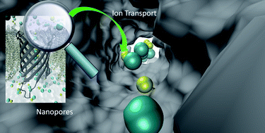 Graphical abstract: Computational modeling of ion transport through nanopores