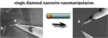 Graphical abstract: Diamond nanowire – a challenge from extremes