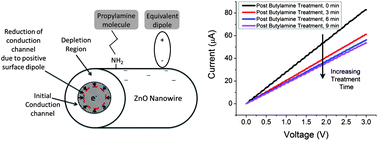 Graphical abstract: Modulation of charge conduction in ZnO nanowires through selective surface molecular functionalization