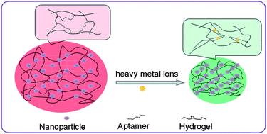 Graphical abstract: Colorimetric photonic hydrogel aptasensor for the screening of heavy metal ions