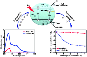 Graphical abstract: Enhancement of visible-light-driven photoresponse of Mn/ZnO system: photogenerated charge transfer properties and photocatalytic activity