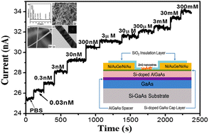 Graphical abstract: An excellent enzymatic lactic acid biosensor with ZnO nanowires-gated AlGaAs/GaAs high electron mobility transistor