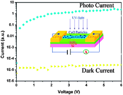Graphical abstract: Ultrahigh quantum efficiency of CuO nanoparticle decorated In2Ge2O7 nanobelt deep-ultraviolet photodetectors